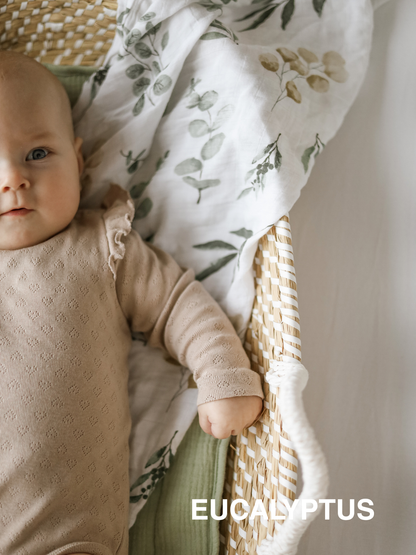 XL Bundle (Tuch & Tuch)