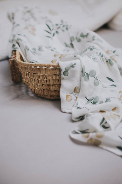 XL Bundle (Tuch & Tuch)